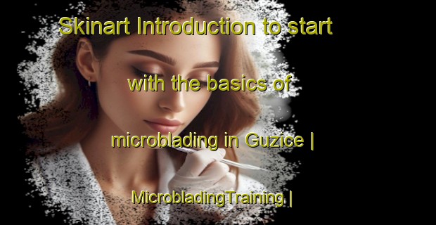 Skinart Introduction to start with the basics of microblading in Guzice | MicrobladingTraining | MicrobladingClasses | SkinartTraining-Poland